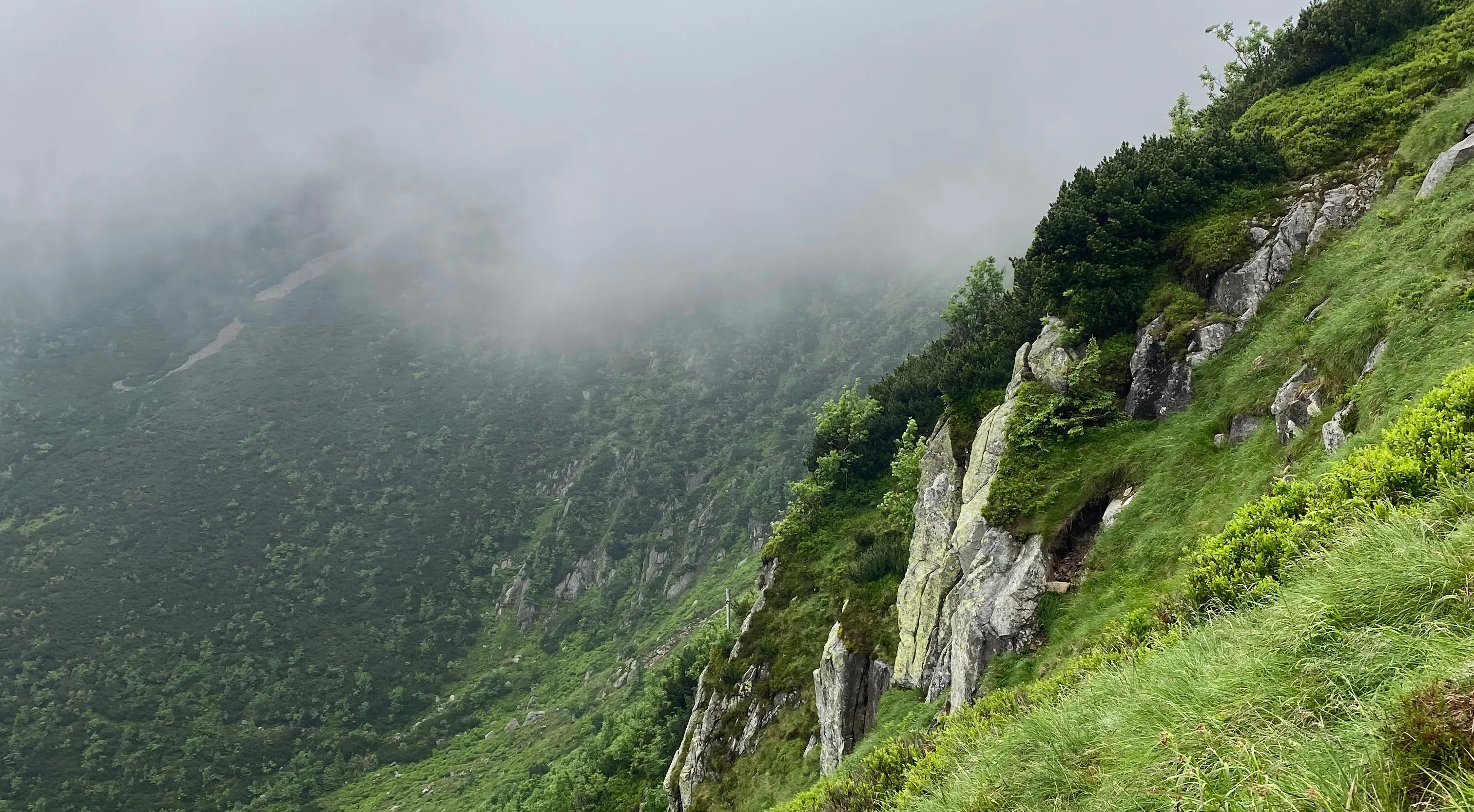Dyfuzory zapachowe z naturalnych składników – makifragrances